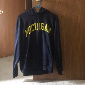Champion Michigan Hoodie